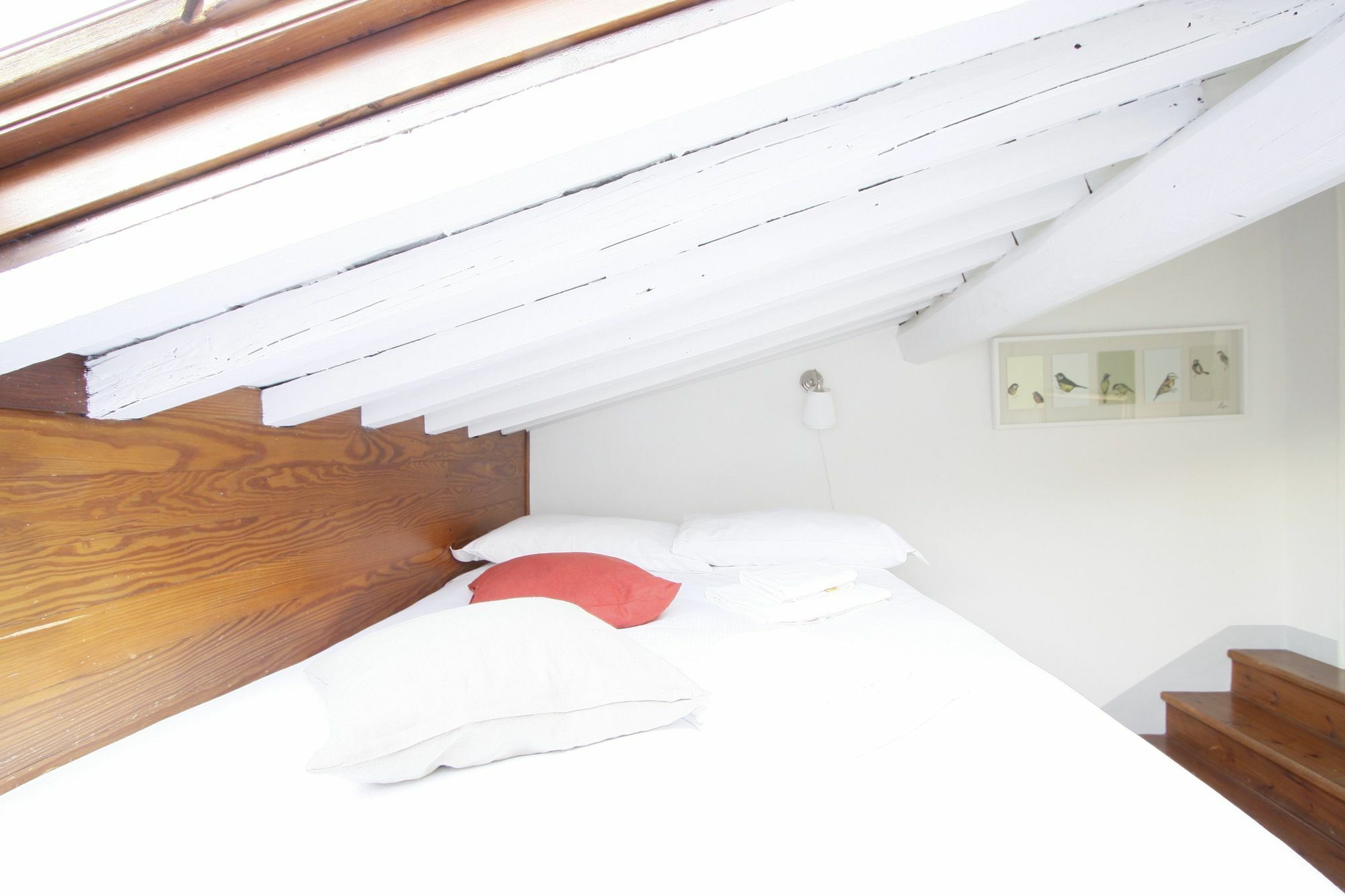 Under The Dome Apartment Флоренция Екстериор снимка